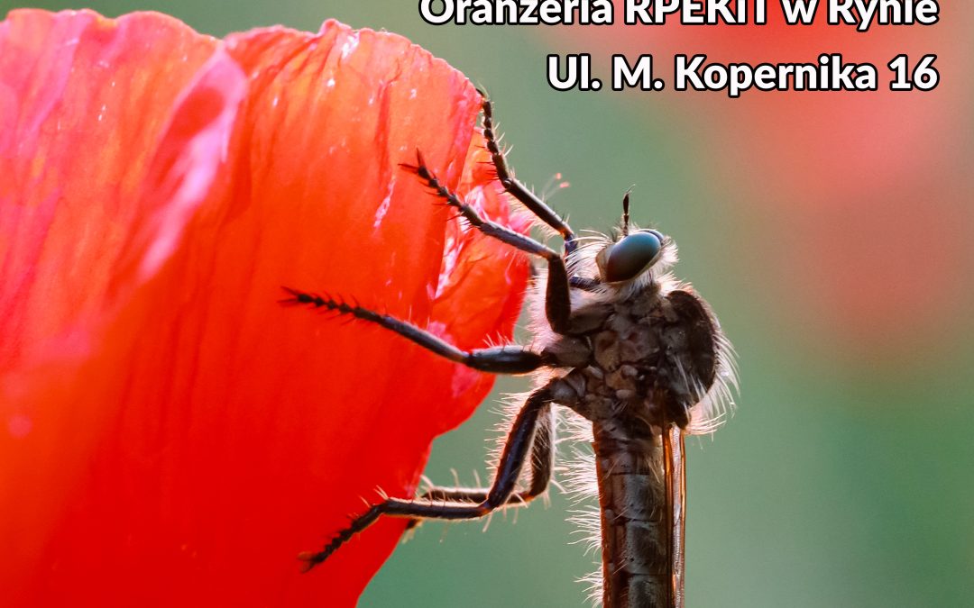 Wernisaż fotograficzny Mirosława Kleczkowskiego